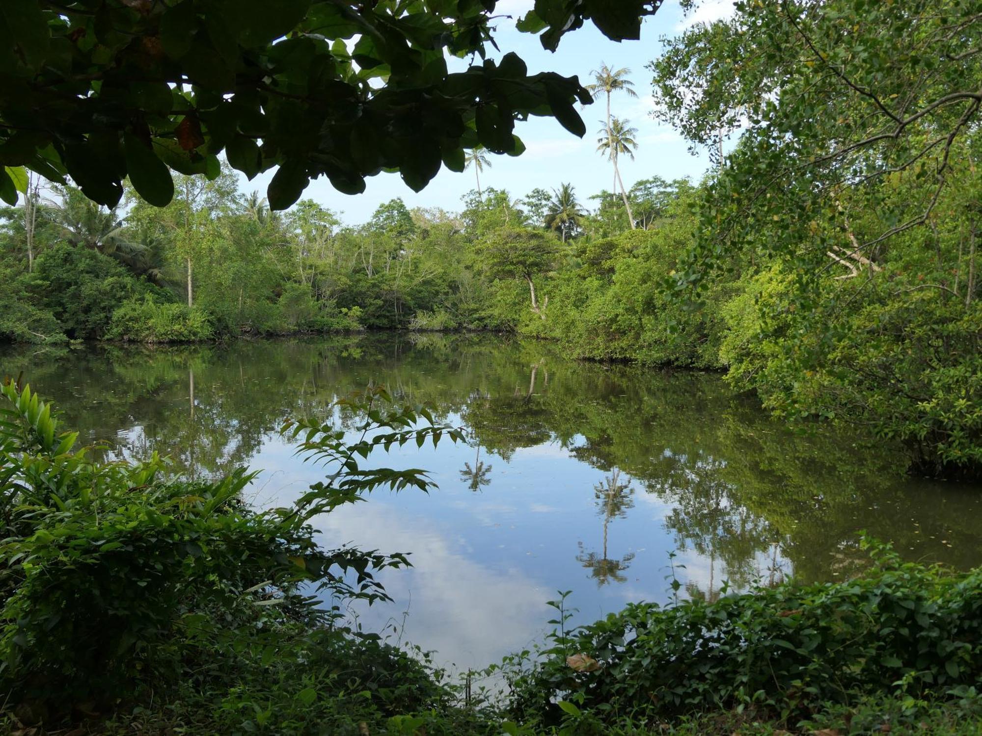 Subodinee Bungalow Weligama Zewnętrze zdjęcie