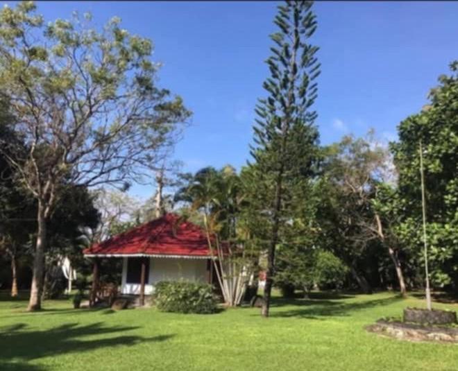 Subodinee Bungalow Weligama Zewnętrze zdjęcie