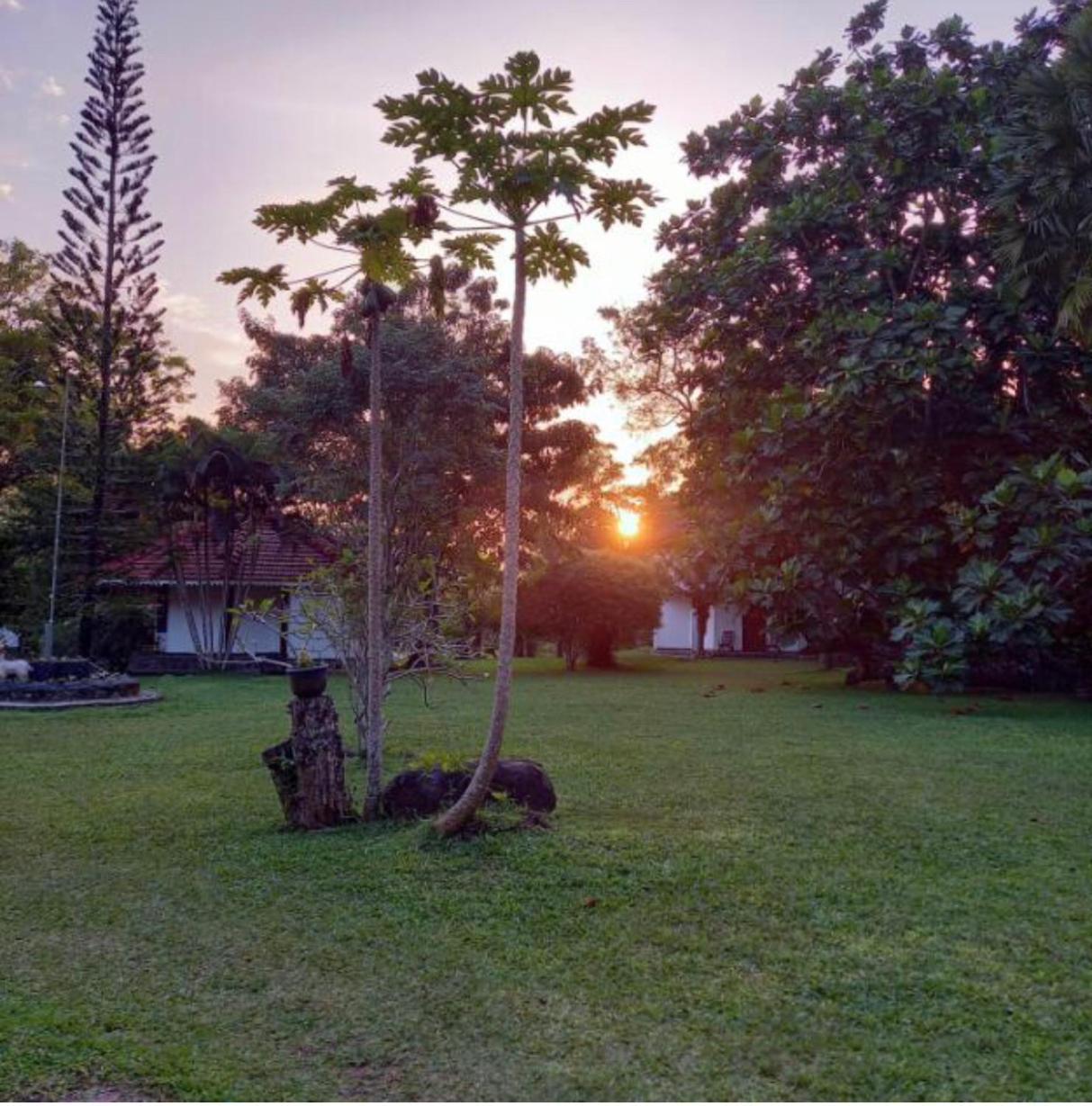 Subodinee Bungalow Weligama Zewnętrze zdjęcie